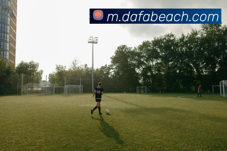 App Interface Preview