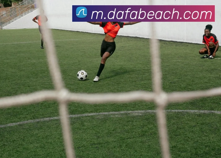 大发官网APP 封面图